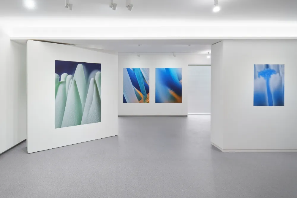Exhibition View, Linear Scan ©Kyoungtae Kim, Whistle / Photo: Kyoungtae Kim